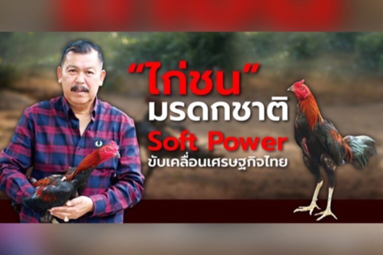 “ไก่ชน” มรดกชาติ Soft Power ขับเคลื่อนเศรษฐกิจไทย