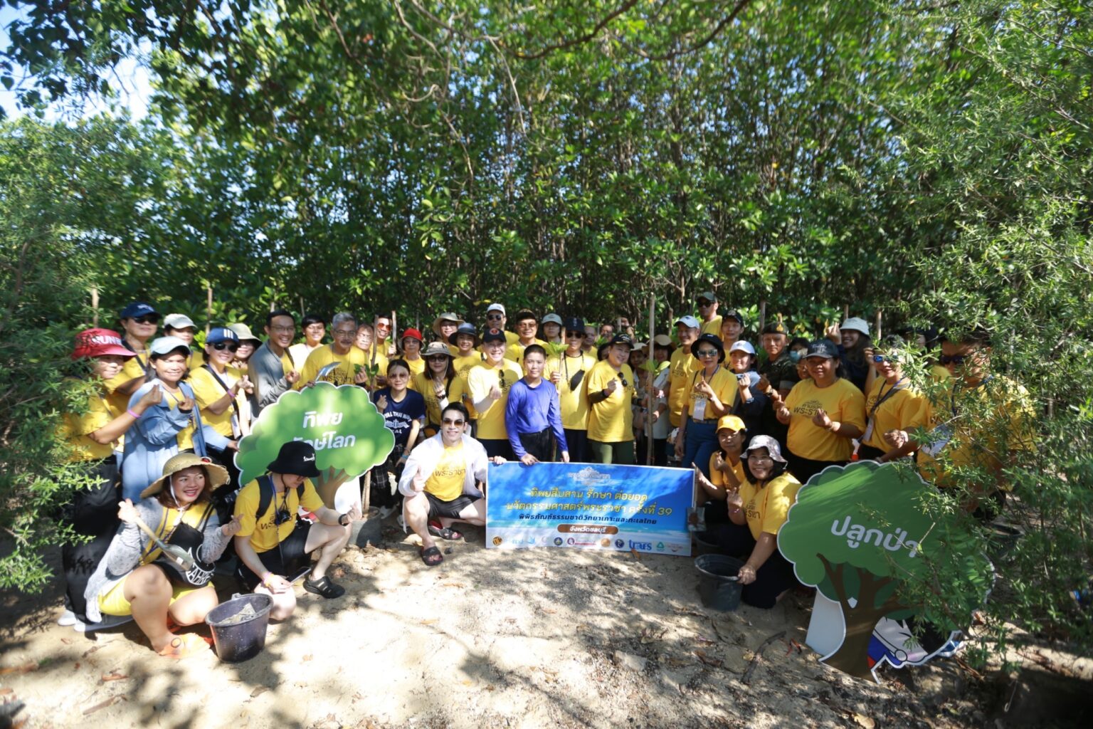 ทิพยประกันภัย ร่วมอนุรักษ์ ฟื้นฟูระบบนิเวศทางทะเล คืนสมดุลให้สิ่งแวดล้อม ในโครงการ ทิพยสืบสาน รักษา ต่อยอด นวัตกรรมศาสตร์พระราชา ครั้งที่ 39