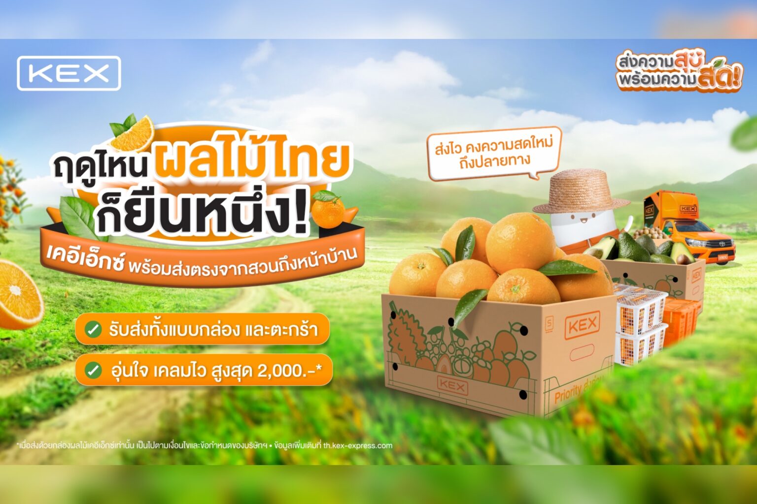 เปิดฤดูผลไม้เมืองหนาว! ให้เคอีเอ็กซ์ส่งตรงความสดจากสวนถึงมือคุณ
