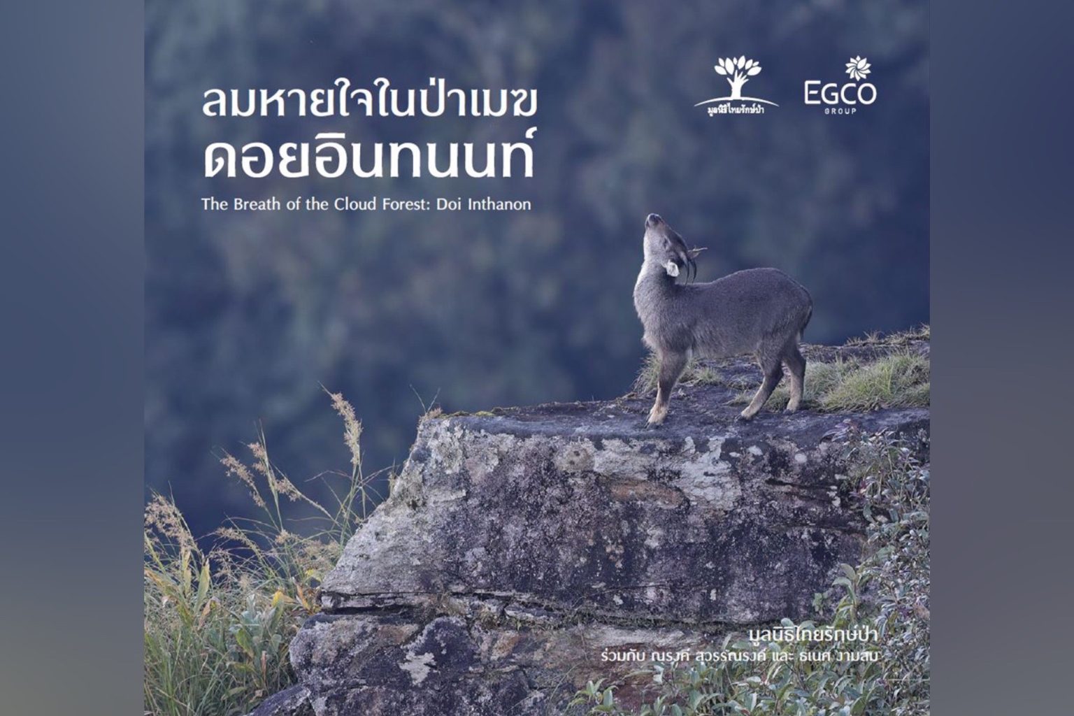 EGCO Group โดย มูลนิธิไทยรักษ์ป่า ชวนมาสัมผัสป่าต้นน้ำและสัตว์ป่าบนดอยอินทนนท์ ในนิทรรศการภาพถ่าย “ลมหายใจในป่าเมฆ ดอยอินทนนท์” ณ หอศิลปกรุงเทพฯ 4 – 16 ก.พ. 68