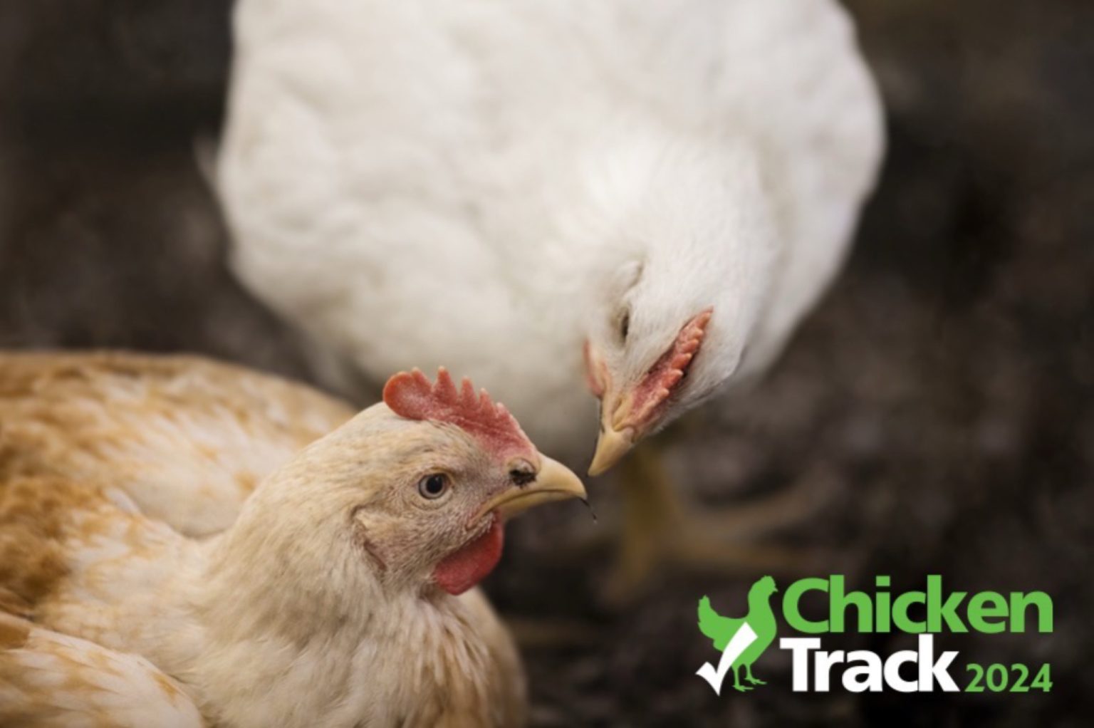 ChickenTrack 2024 เผยแนวทางอุตสาหกรรมไก่ไทยก้าวล้ำการเปลี่ยนแปลงในตลาดยุโรป
