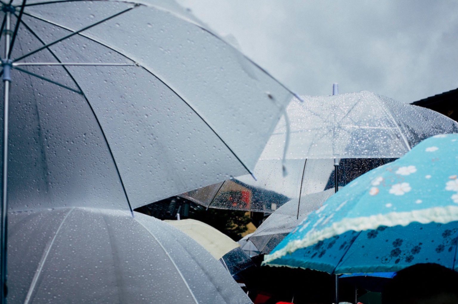 รพ. วิมุต เปิด 5 โรคอันตรายหน้าฝนที่เล่นงานเด็กไทยทุกปี