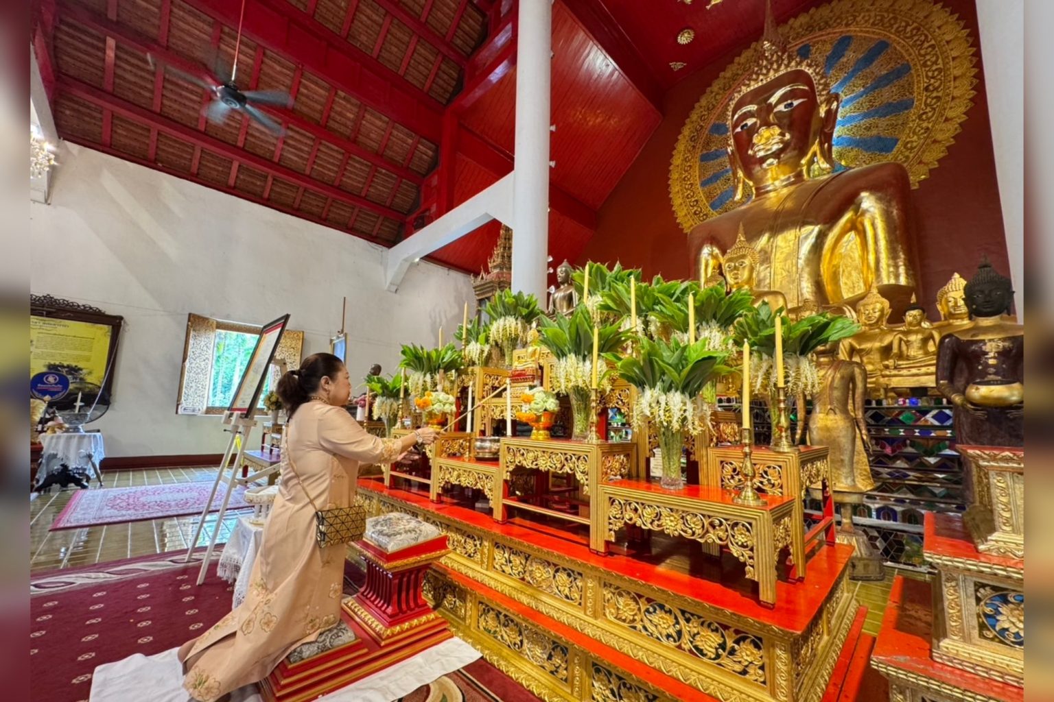 ทิพยประกันภัยร่วมสืบสานพระพุธศาสนา จัดโครงการ “พลังบุญทิพยร่วมสร้าง ครั้งที่ 239”