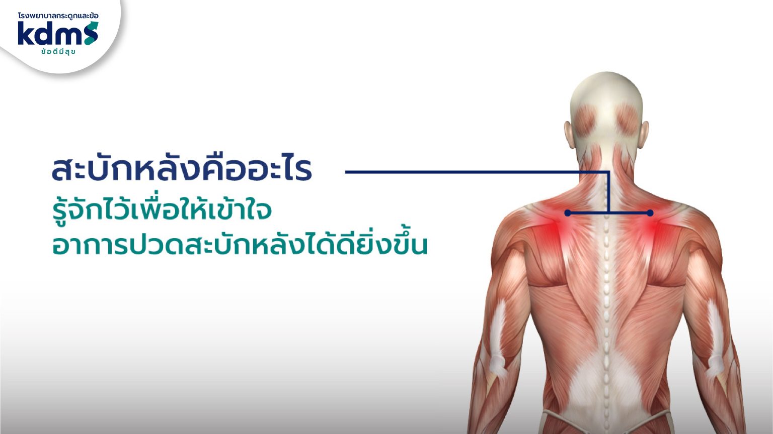 “สะบักจม ปวดร้าวลงแขน” สัญญาณเตือนที่มนุษย์สู้งานห้ามมองข้าม รู้จักสาเหตุและวิธีสยบ รีบจบฝันร้ายจากภัยเงียบไม่กลับมาเป็นซ้ำ!