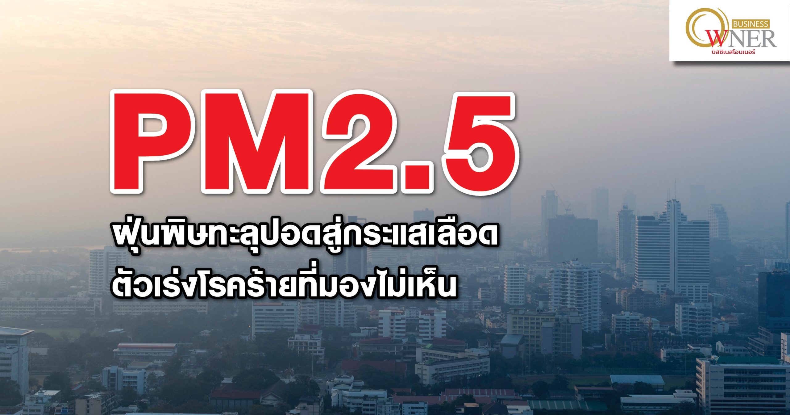 PM2.5 ฝุ่นพิษทะลุปอดสู่กระแสเลือด ตัวเร่งโรคร้ายที่มองไม่เห็น