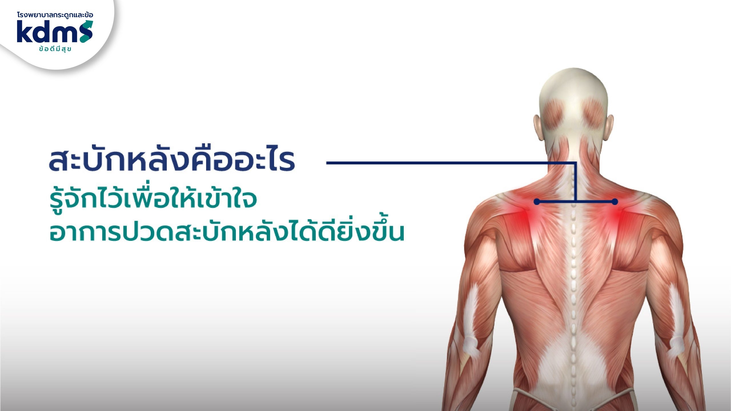 “สะบักจม ปวดร้าวลงแขน” สัญญาณเตือนที่มนุษย์สู้งานห้ามมองข้าม  รู้จักสาเหตุและวิธีสยบ รีบจบฝันร้ายจากภัยเงียบไม่กลับมาเป็นซ้ำ!